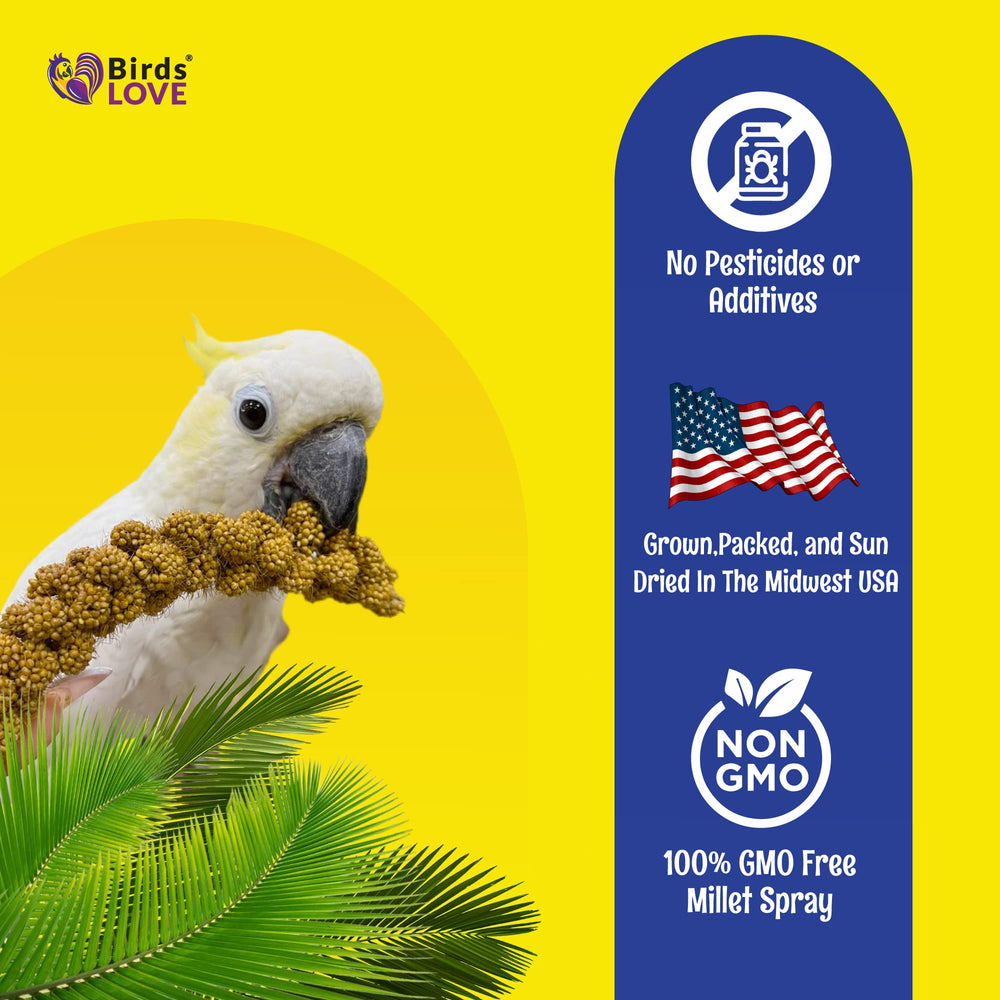 Birds LOVE millet non-OGM prêt à germer, apportant des nutriments naturels.