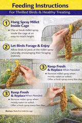 Birds LOVE millet séché au soleil, saveur naturelle et sans additifs.