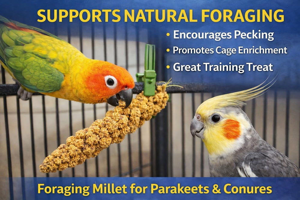 Birds LOVE Millet: production américaine assurant fraîcheur et traçabilité.
