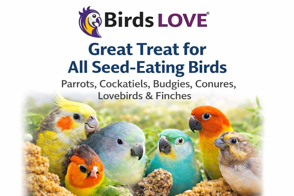 Birds LOVE Millet: usage quotidien sûr, en récompense pour les oiseaux curieux.