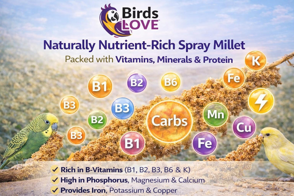 Birds LOVE Millet – vitamines et minéraux pour le bien-être.