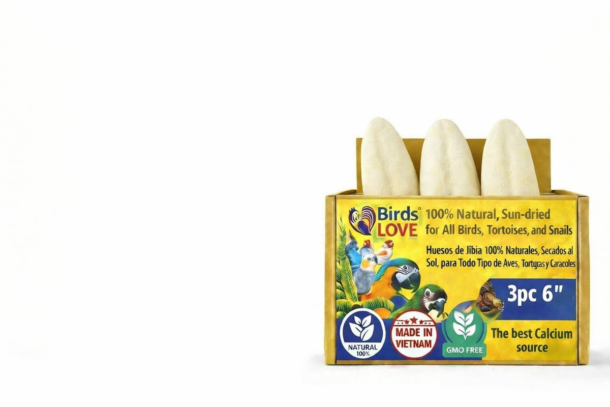 Birds LOVE os de seiche 5-5-6 pouces, calcium naturel pour oiseaux.