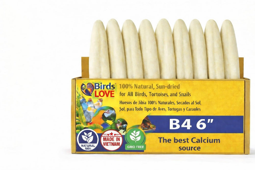 Birds LOVE os-de-seiche avec support, accessoire pratique pour cage et calcium naturel.