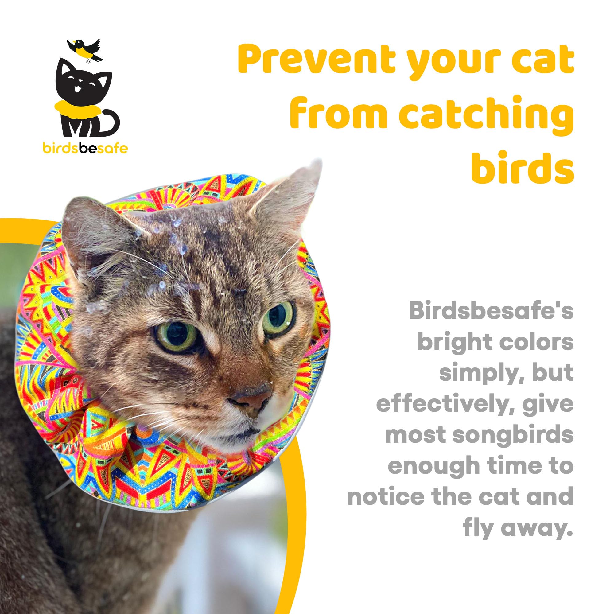 Birdsbesafe Geodelic vue arrière améliore la sécurité nocturne du chat