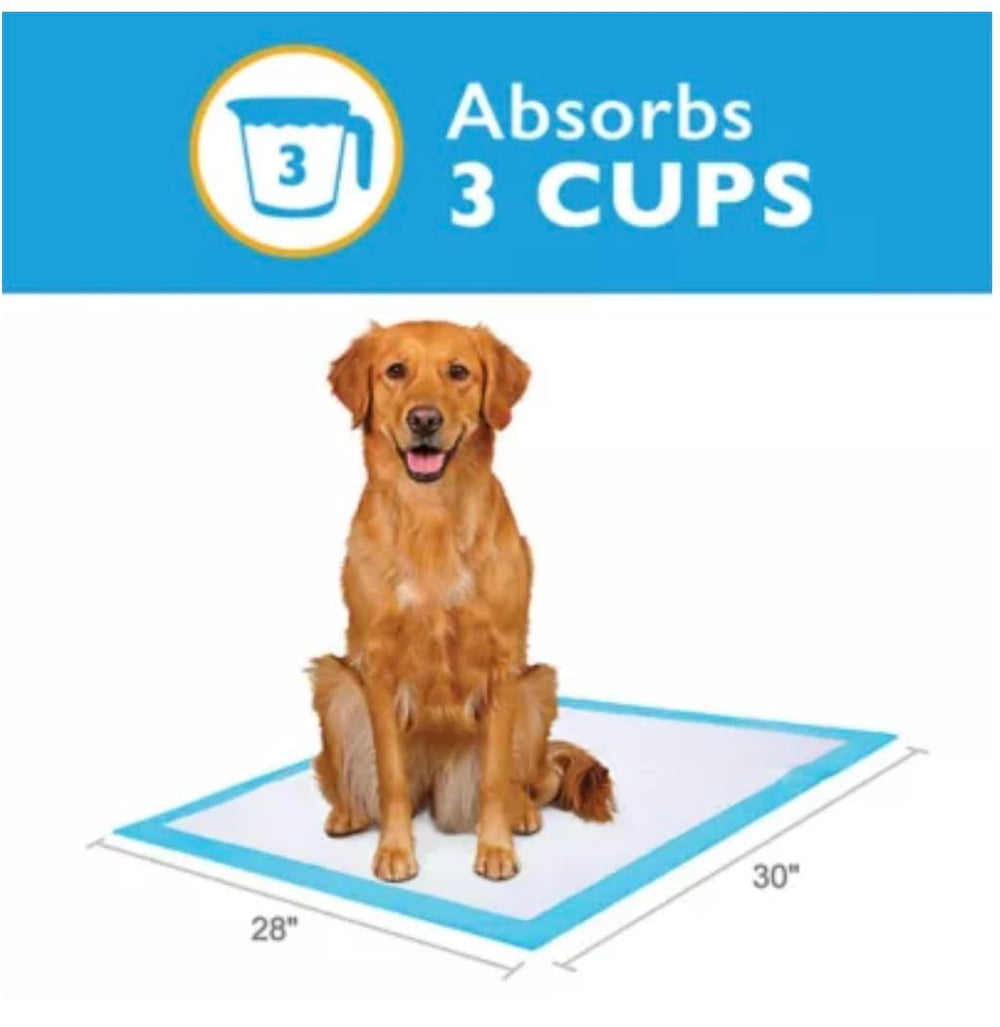 Tapis Grreat Choice offre une protection jusqu'à 10 heures pour chiens.
