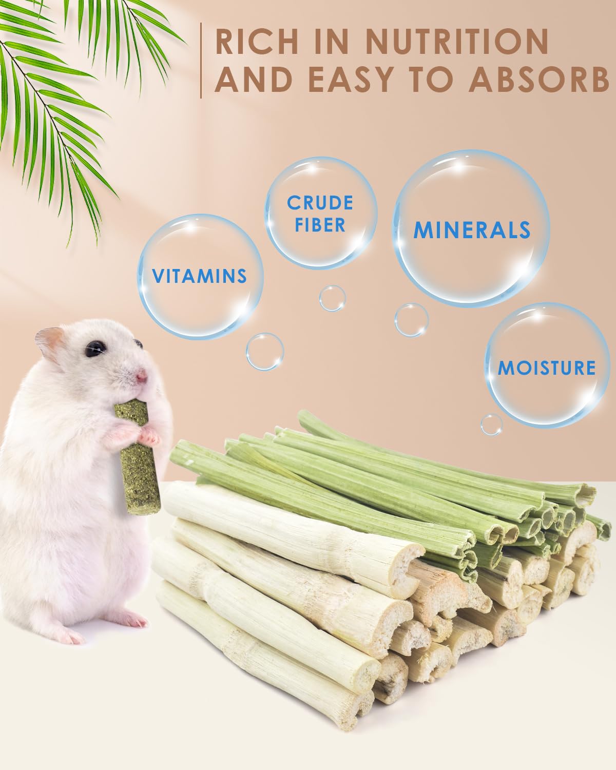 Bissap batonnet bambou sucre: collation saine pour dents et digestion.