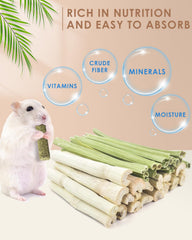 Bissap batonnet bambou sucre: collation saine pour dents et digestion.