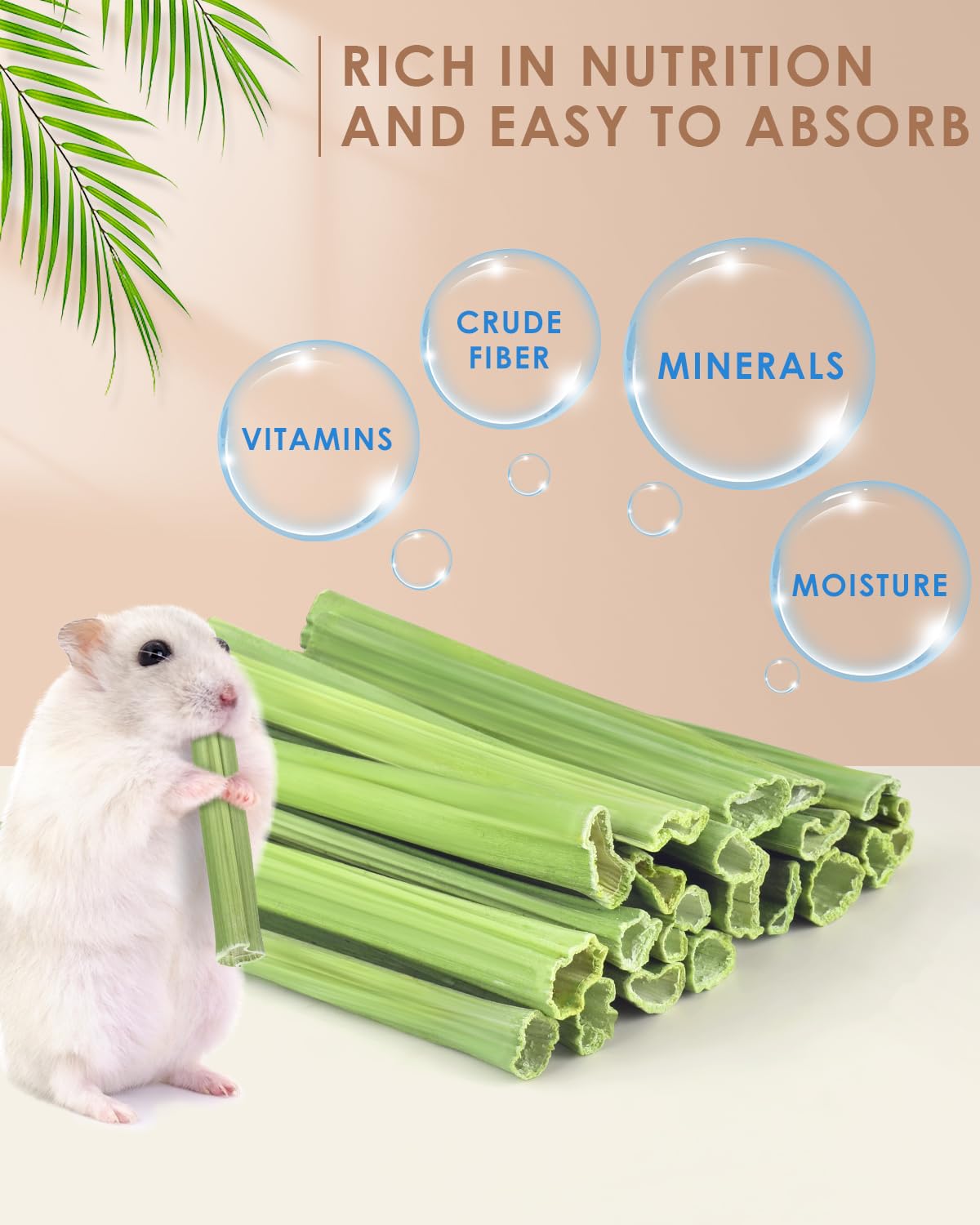 Bissap baton-papaye-rongeurs: favorise sante dentaire et divertissement.