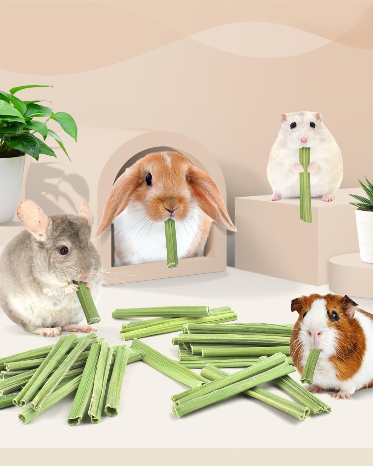 Bissap bâtonnets-cadeau-naturel-pour-animaux: cadeau charmant.