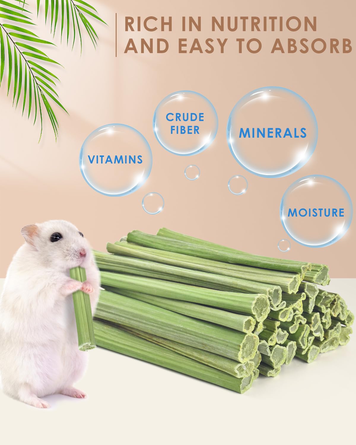 Bissap bâtonnets-fibres-alimentaires-naturelles: soutien digestive.
