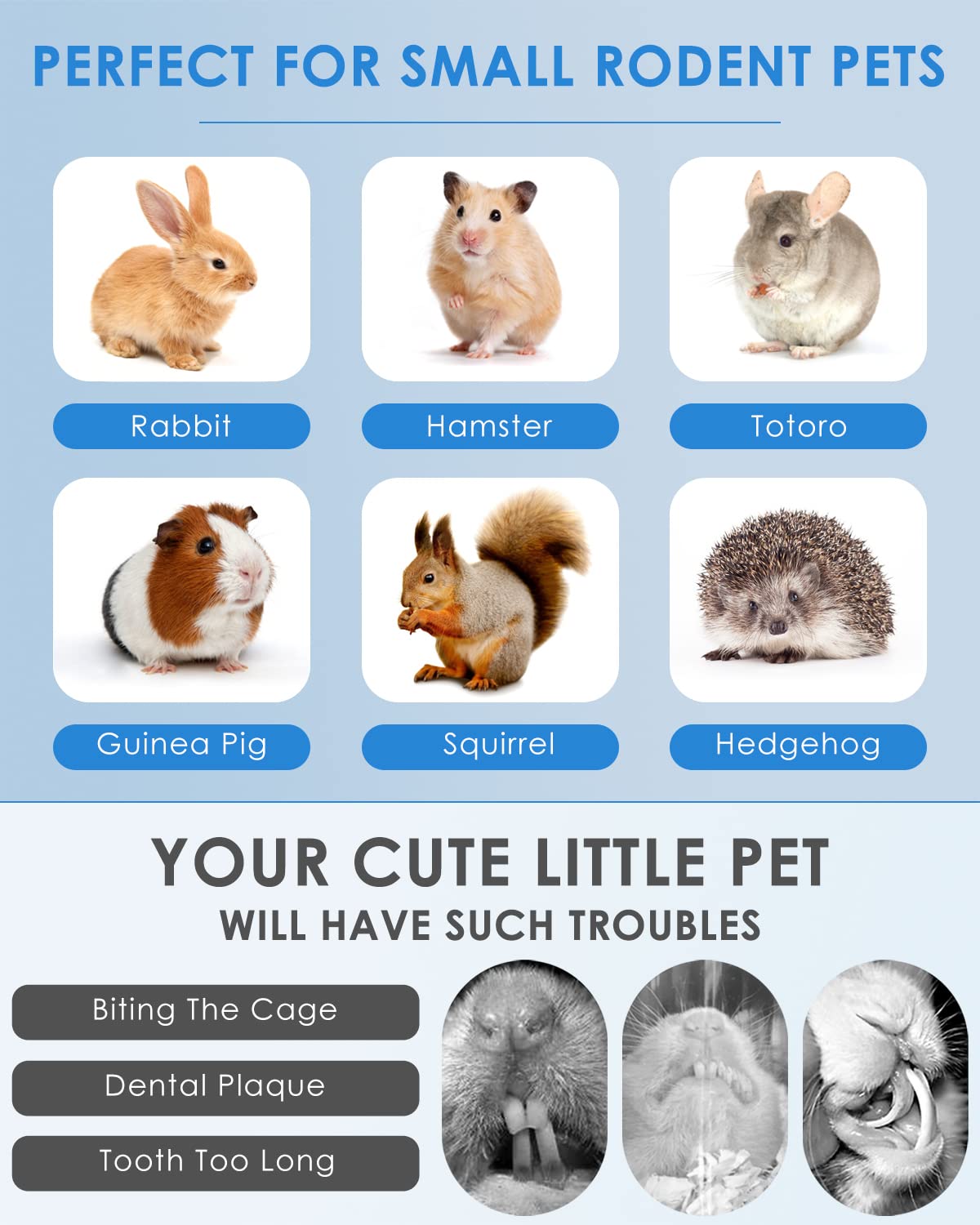 Bissap batonnet multicolore, ensemble stimulant l exercice et le divertissement.