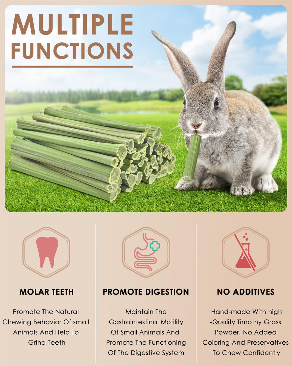 Bissap bâtonnets-vitamines-a-et-c: apport naturel.