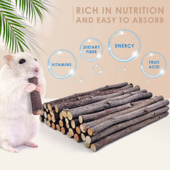 Bissap bâtons pomme chinchillas: plaisir fruité et usure régulière des dents