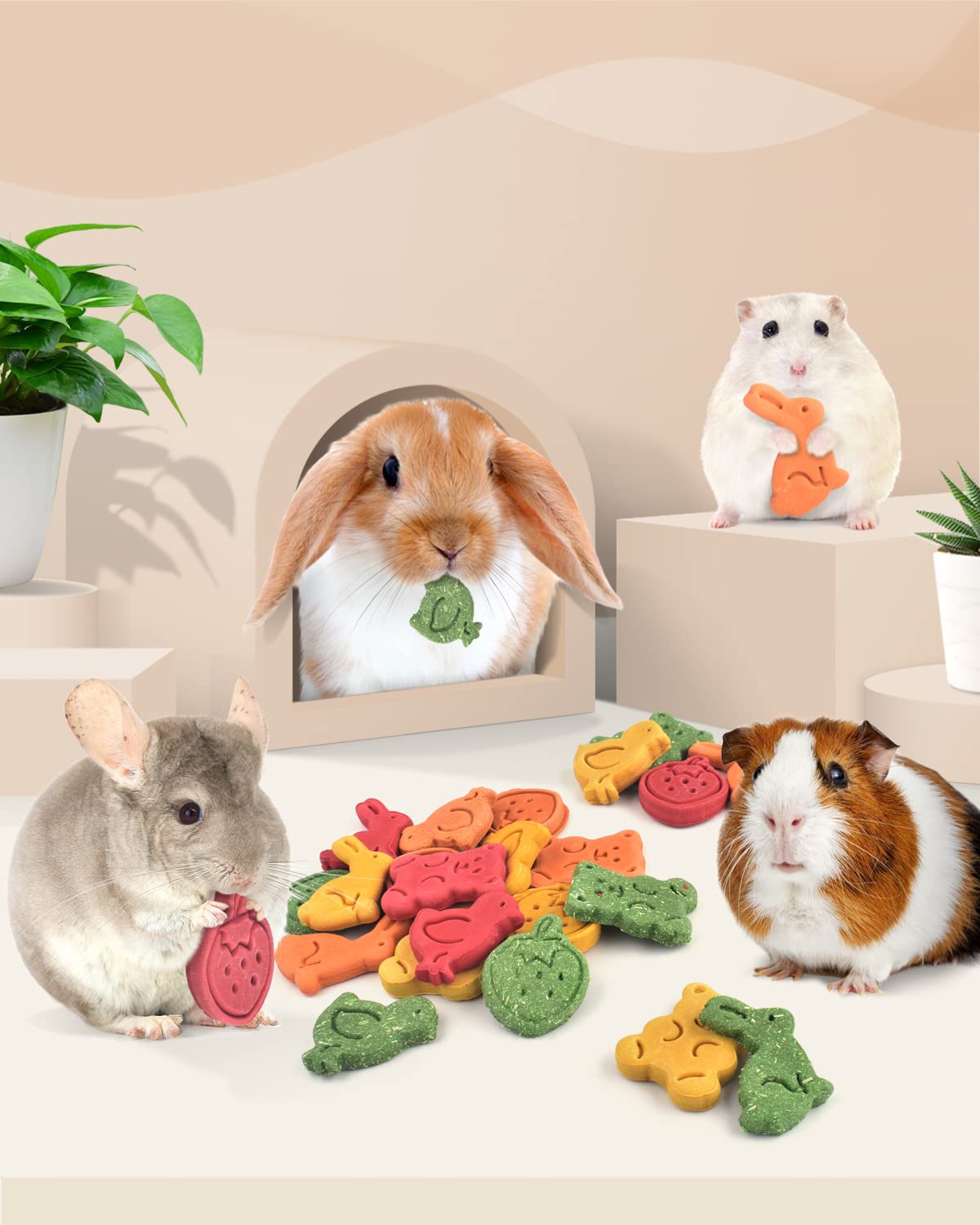 Bissap Bunny Chew Toys friandises interactives: récompense idéale après l'exercice.
