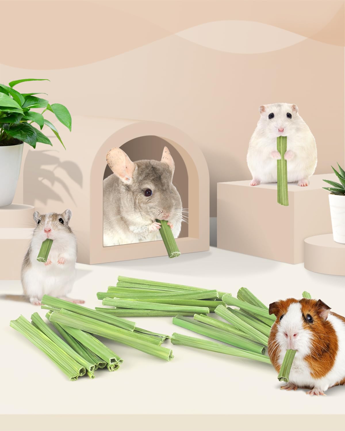 Bissap cadeau-animaux-naturel, stimule la curiosité et le jeu.