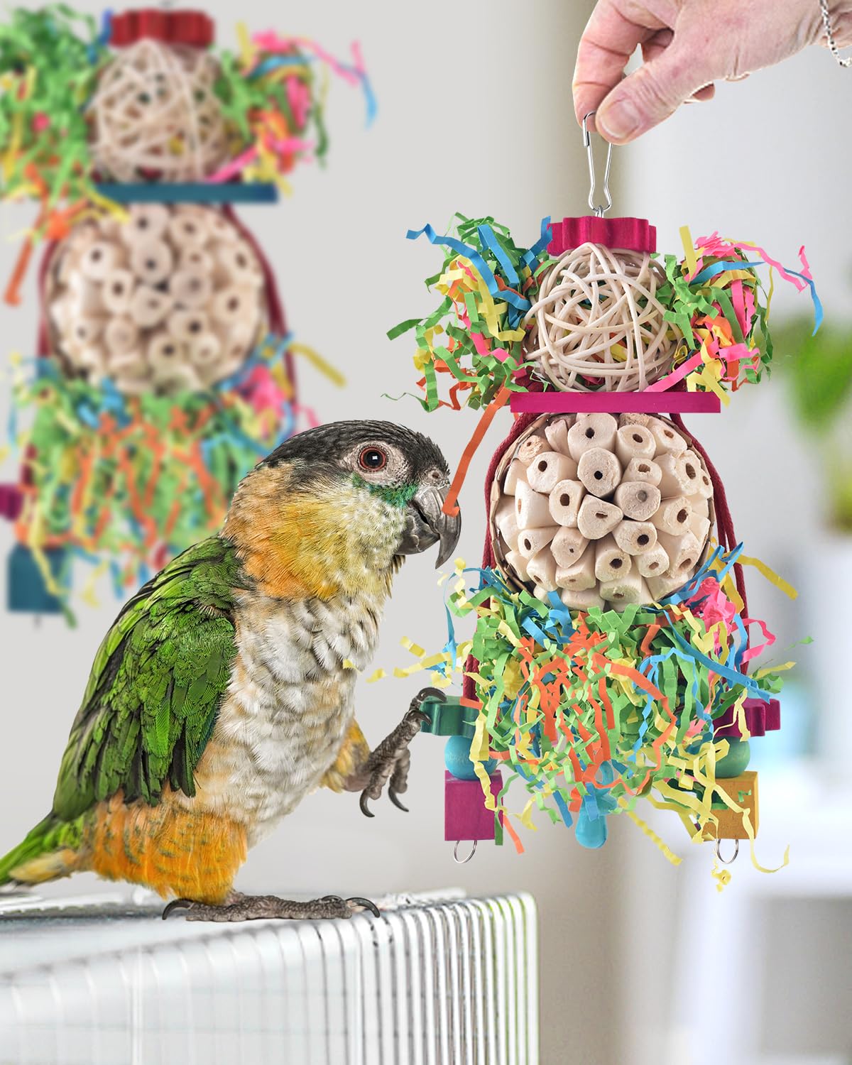 Jouet Bissap: conception artisanale pour occuper les oiseaux et prévenir l'ennui.