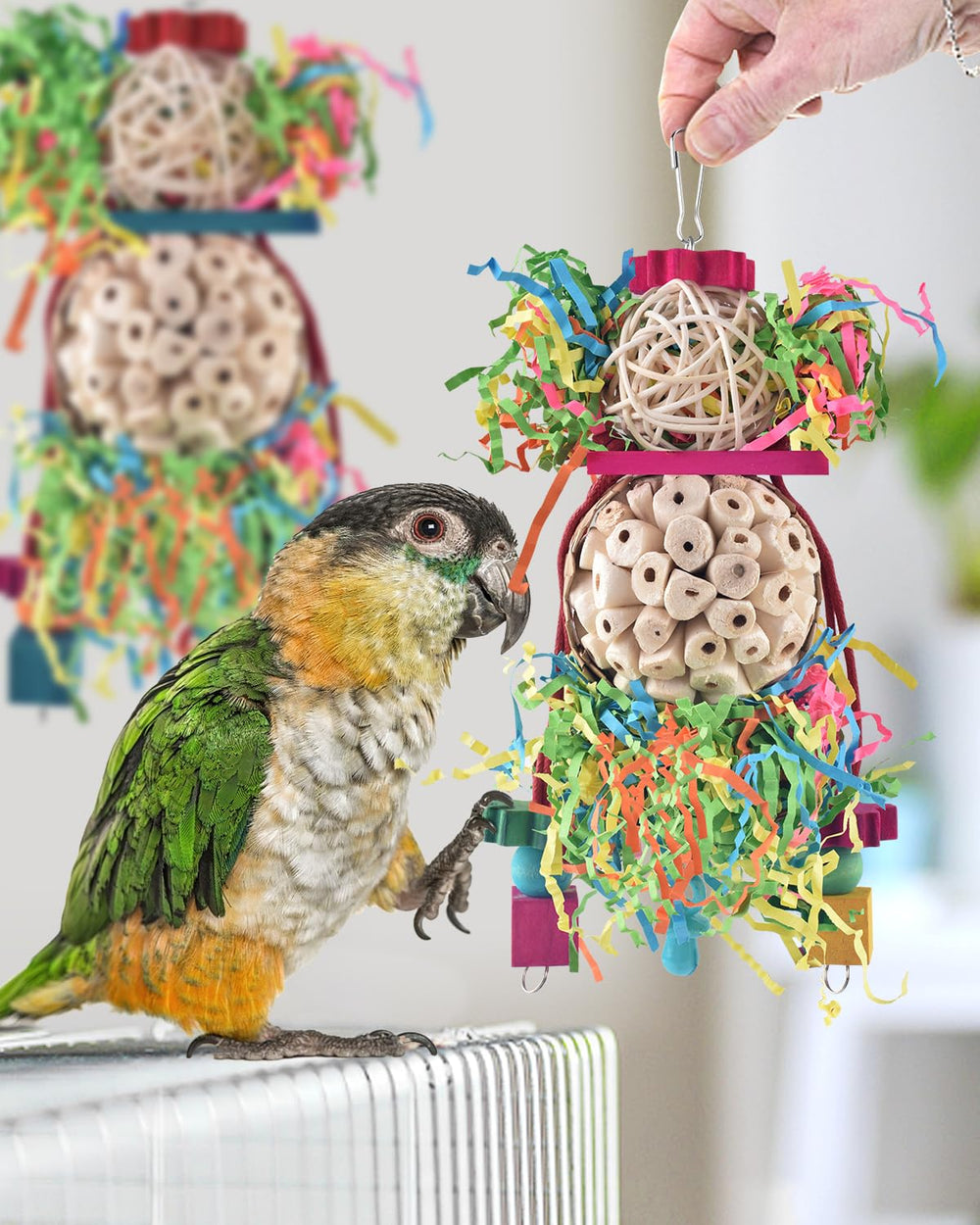 Jouet Bissap: conception artisanale pour occuper les oiseaux et prévenir l'ennui.