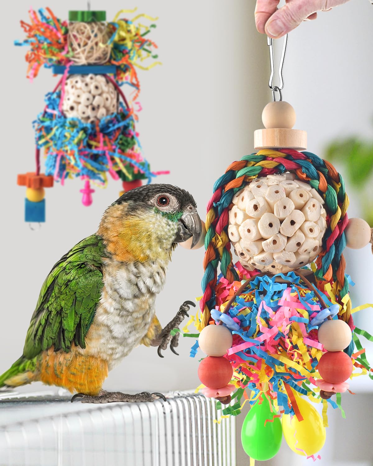 Jouet Bissap conure: couleurs vives attirant l’attention et stimulant la curiosité.