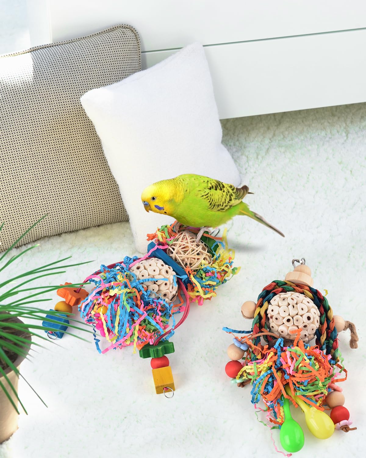 Jouet Bissap conure: activité d’escalade, réduire l’ennui et favoriser l’exercice.