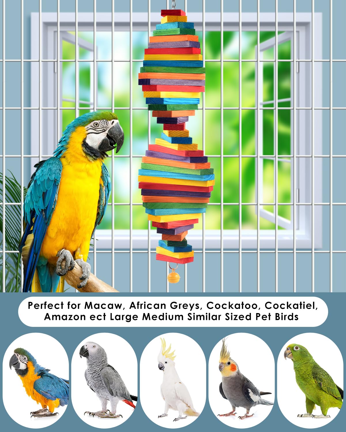 Jouet Bissap ensemble mordillage pour oiseaux moyens et grands, enrichment quotidien.