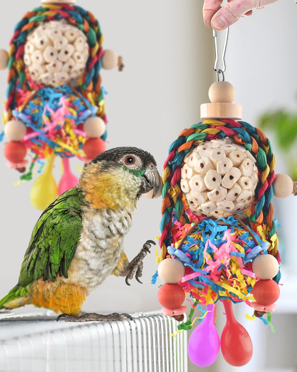 Jouet Bissap Conure morceaux de papier détachables lors du tirage naturel.