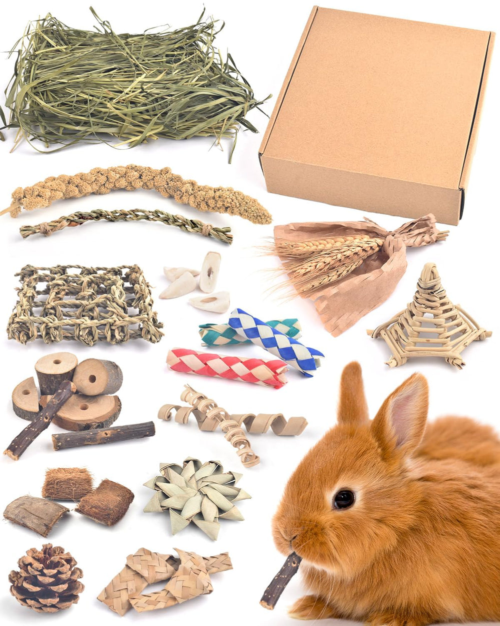 Palmes et feuilles Bissap, options de mastication variées pour lapin