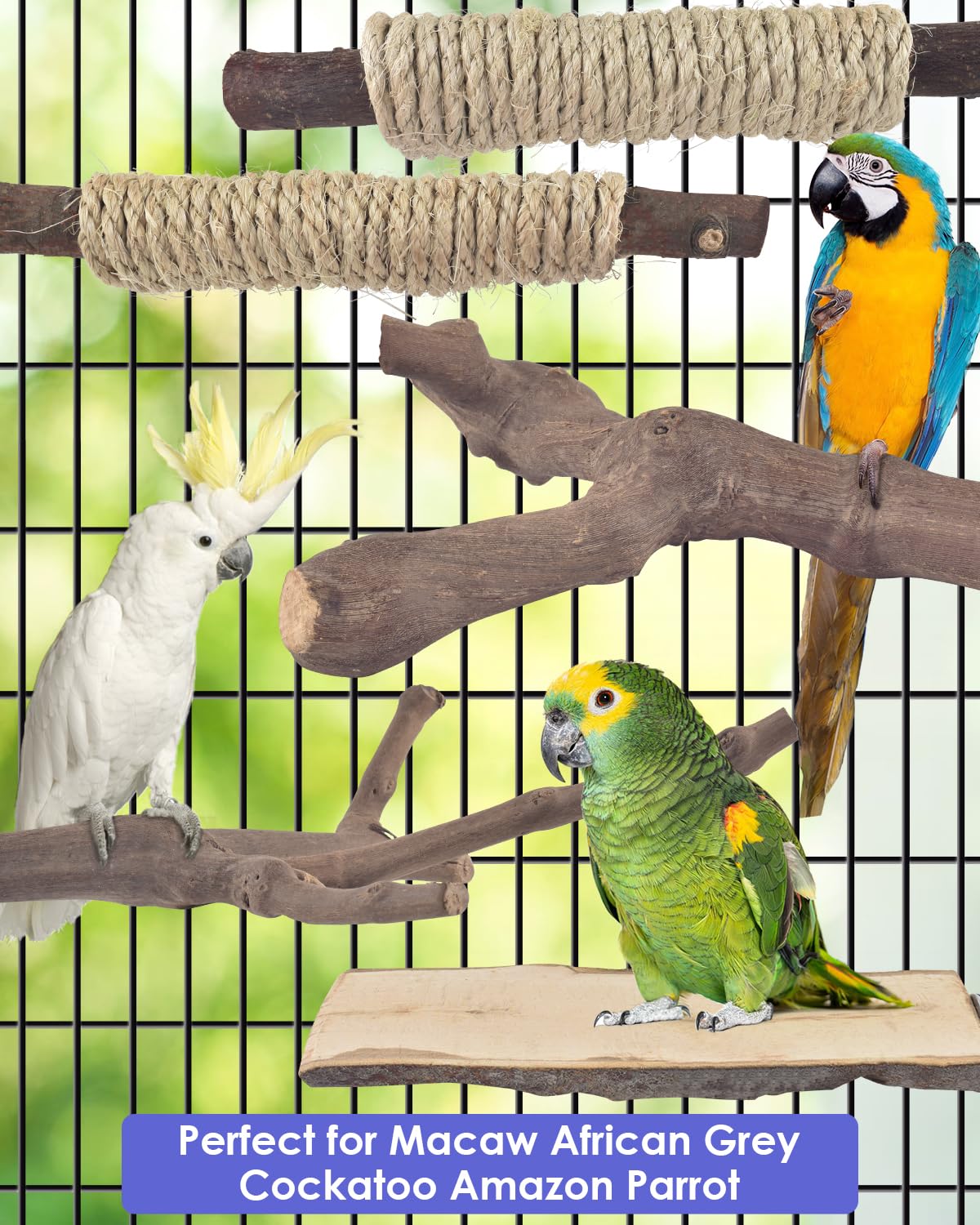 Ensemble polyvalent Bissap, idéal comme cadeau pour oiseaux.
