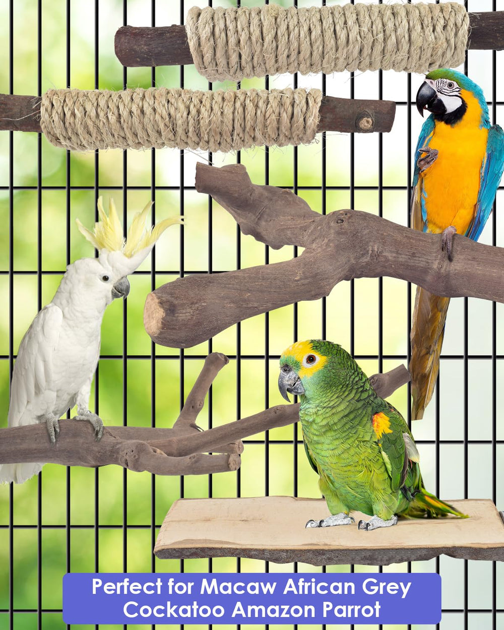 Ensemble polyvalent Bissap, idéal comme cadeau pour oiseaux.