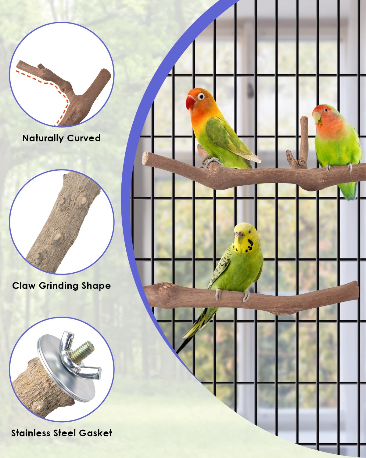 Bissap perchoir en structure de branche pour cage, durable et sûr.