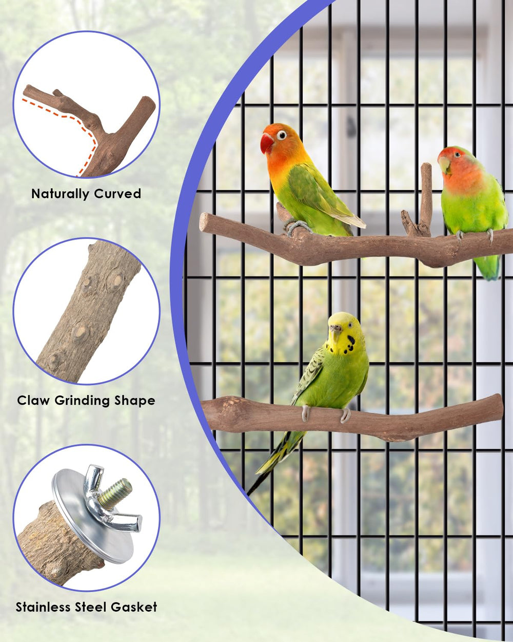 Bissap perchoir en structure de branche pour cage, durable et sûr.