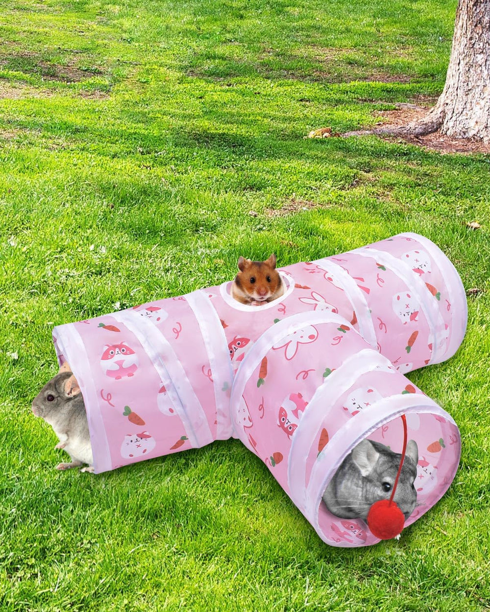Balle de jeu incluse pour stimuler l’amusement des animaux.