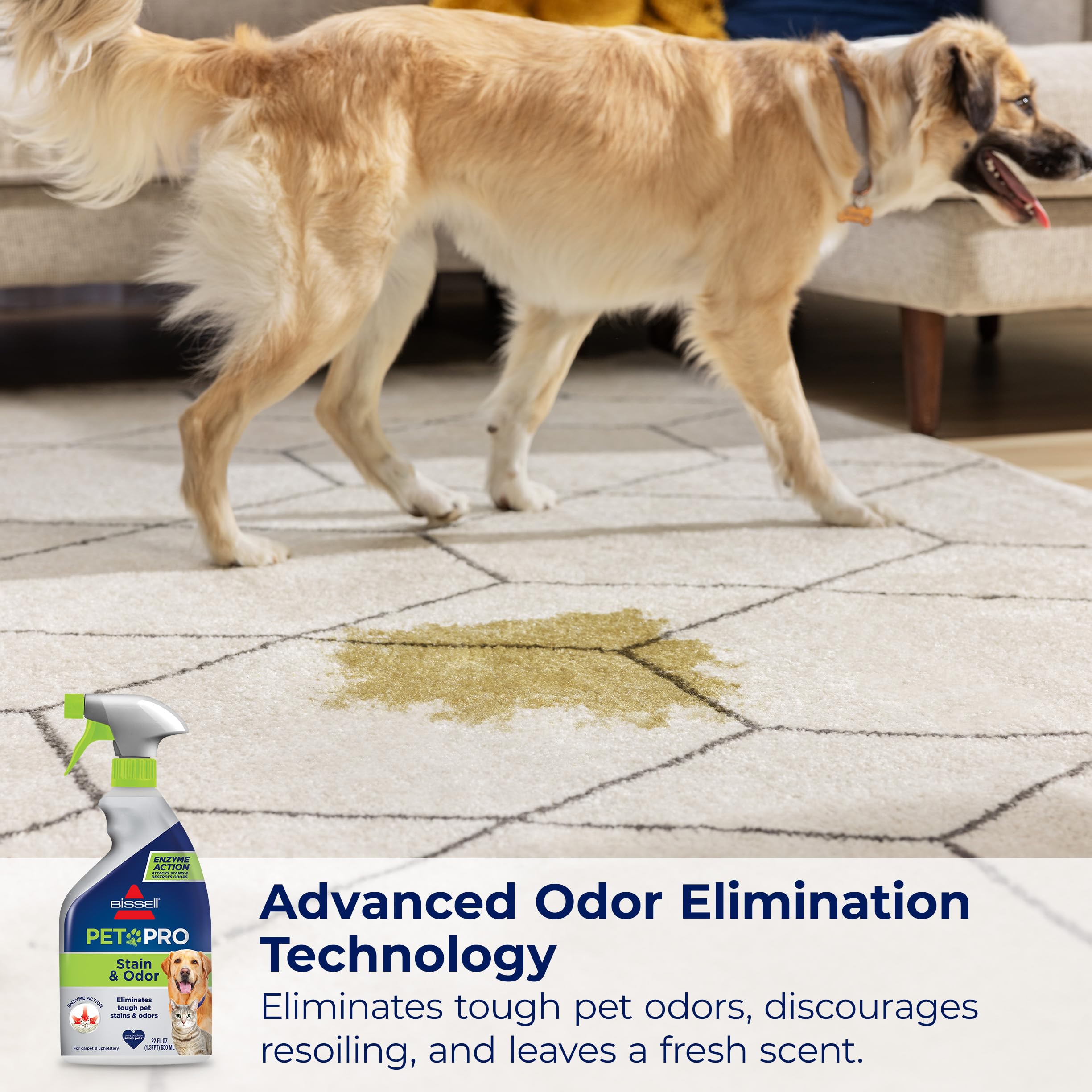 Étiquette Bissell Pet Pro sans métaux lourds et colorants pour la maison.