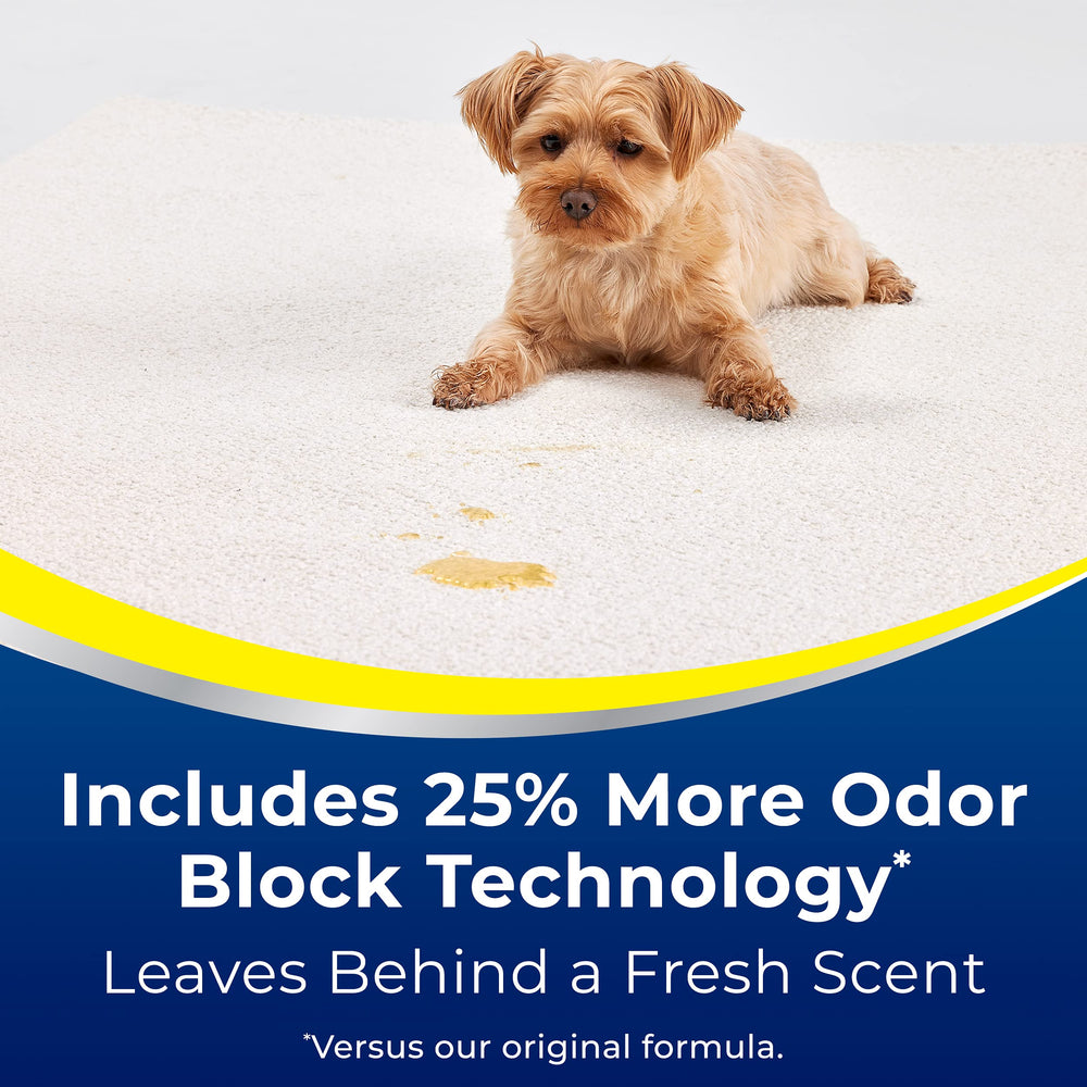 Bissell Woolite Avantage – surfaces textiles et tapis compatibles