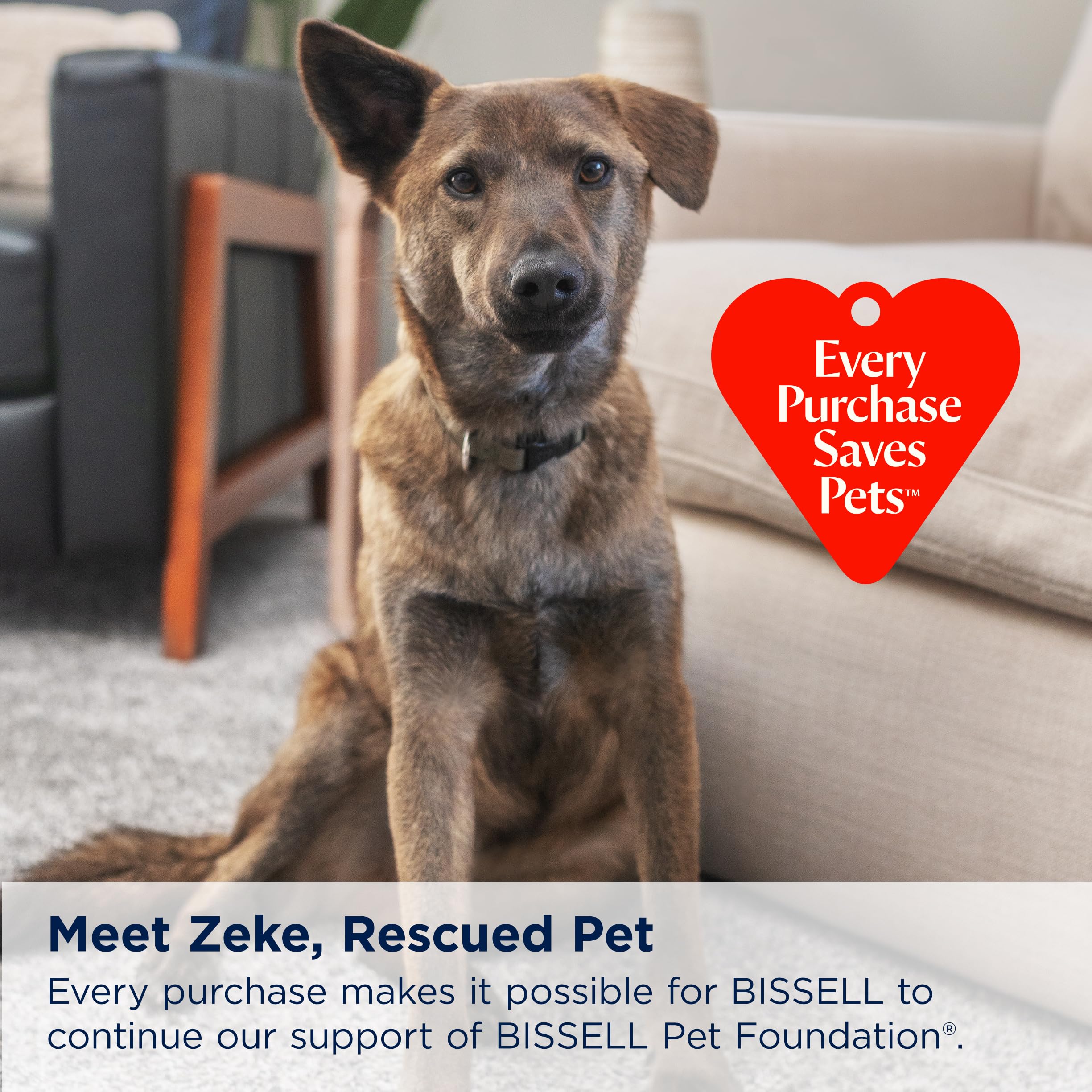 Don BISSELL Pet Foundation issus des achats pour aider les animaux