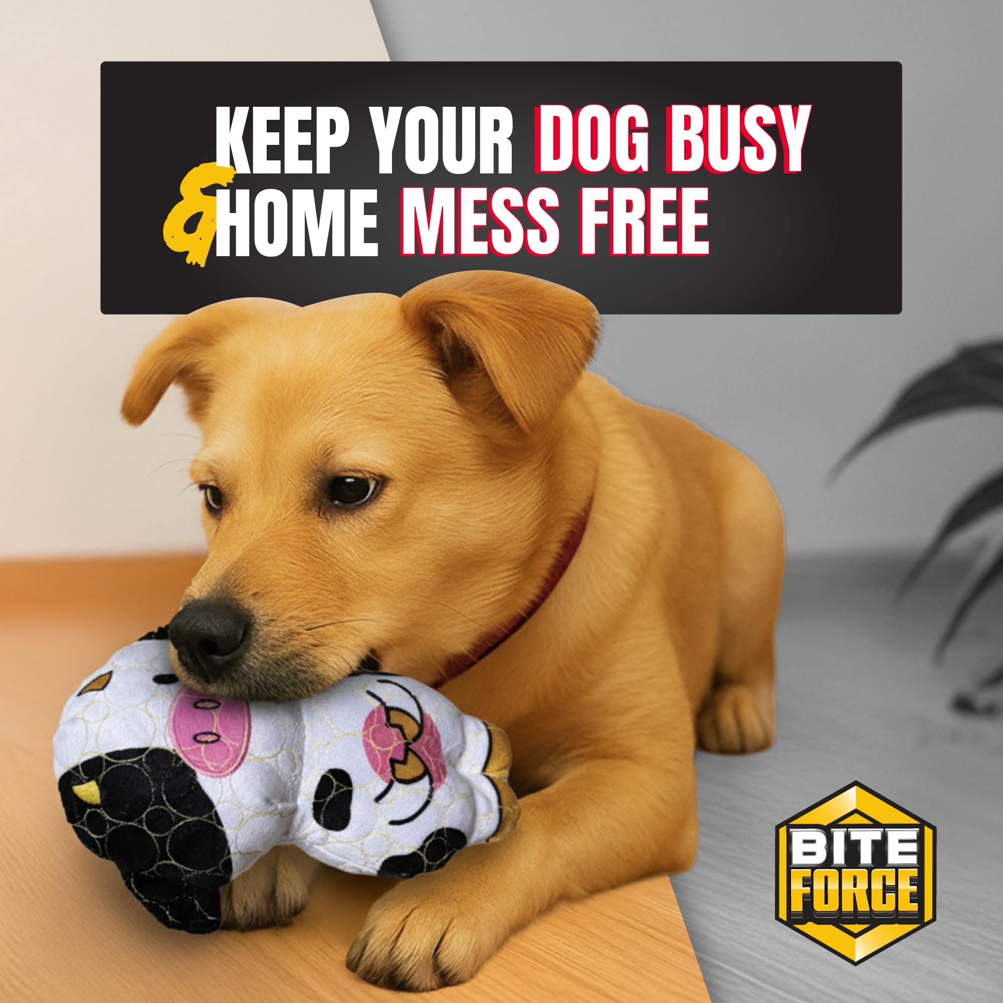 Jouet Bite Force comme cadeau ludique pour anniversaires de chien.