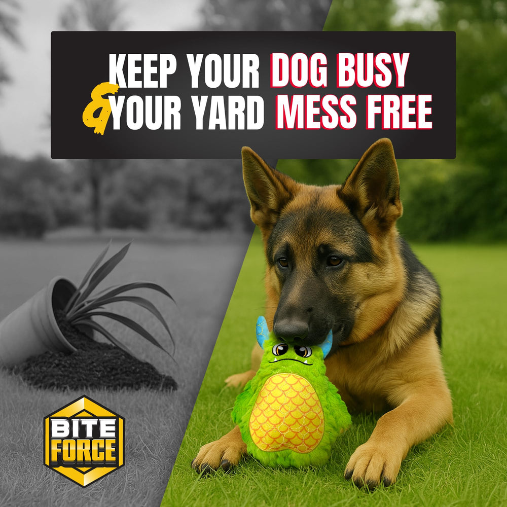 Jouet Bite Force jeu quotidien, durable et amusant pour chiens actifs.