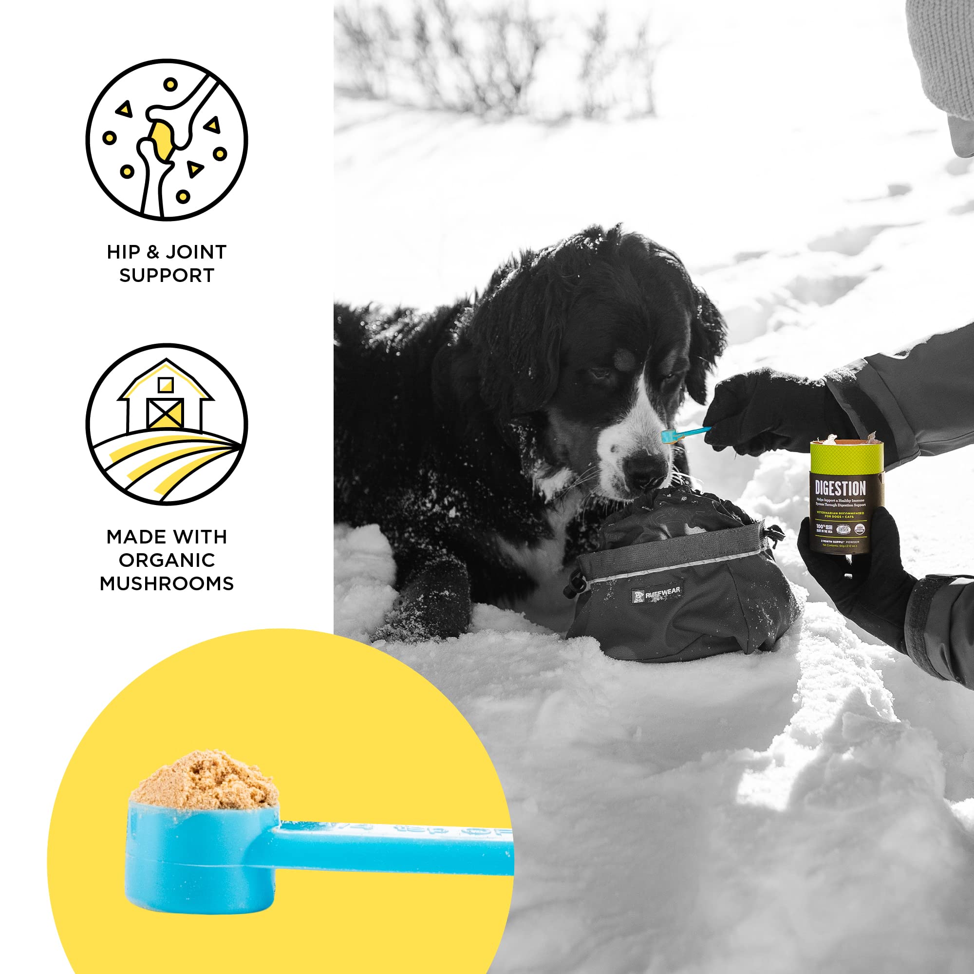 Champignons bio BIXBI pour joints chiens et chats — image de poudre et flacon.