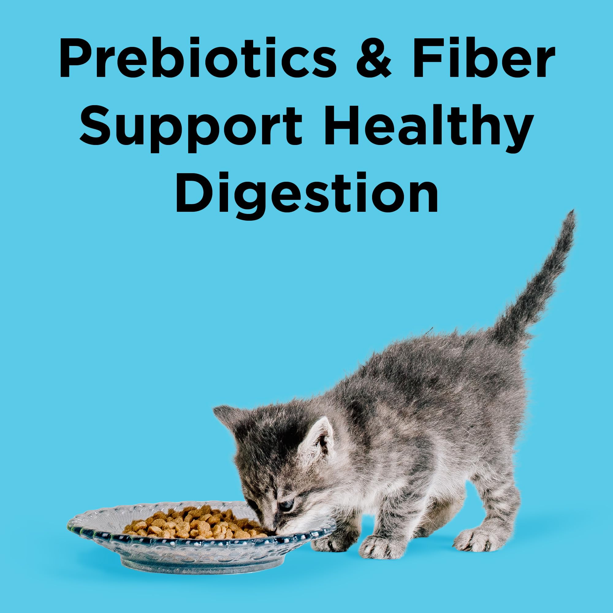 Prébiotiques et fibres de miscanthus pour la digestion, image BIXBI Liberty