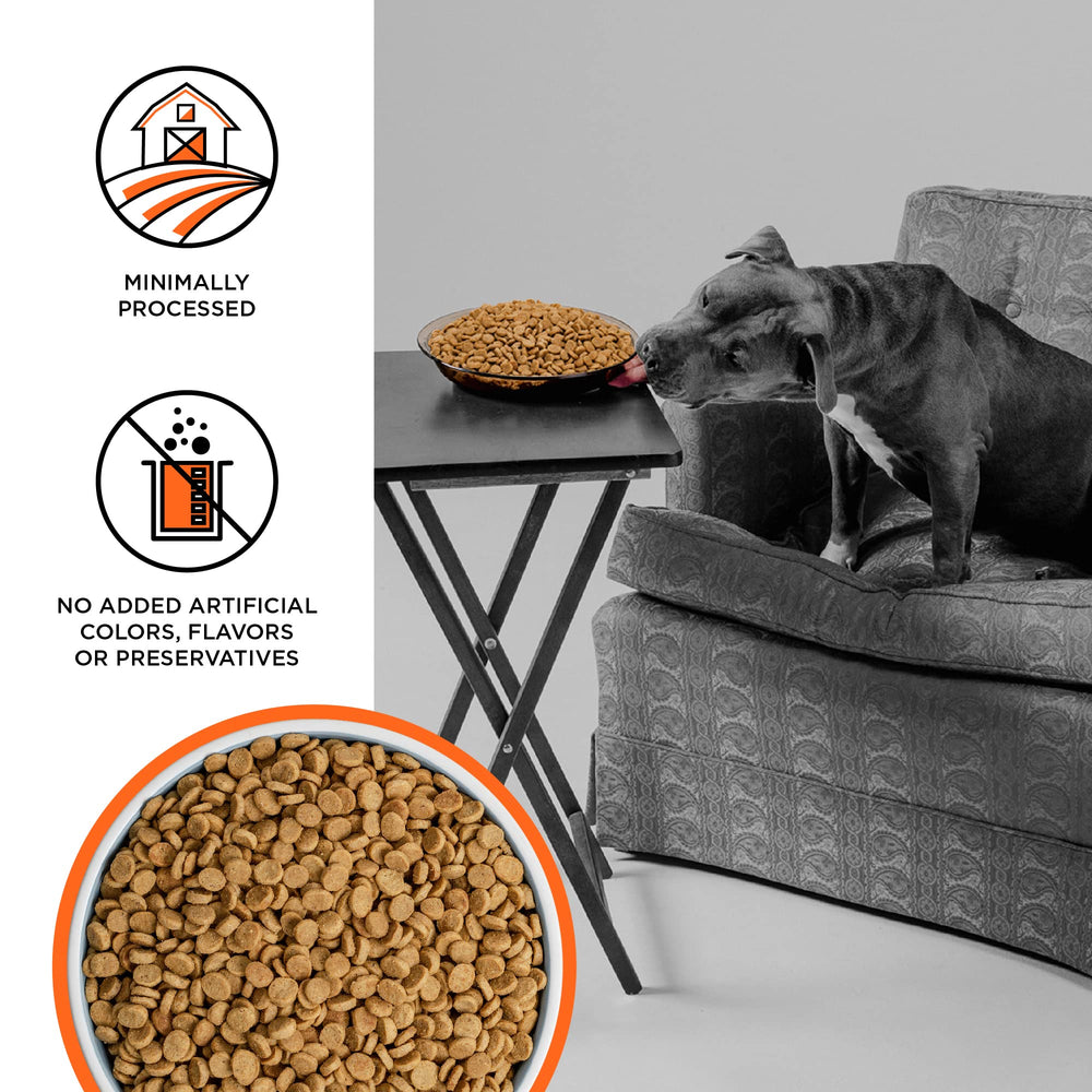 Bol de chien avec Liberty – repas équilibré et savoureux à base de poulet.
