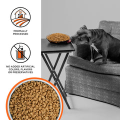 Bol de chien avec Liberty – repas équilibré et savoureux à base de poulet.