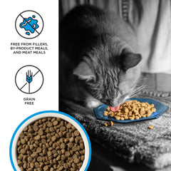 BIXBI Liberty saumon sans céréales: option digeste pour les chats sensibles.