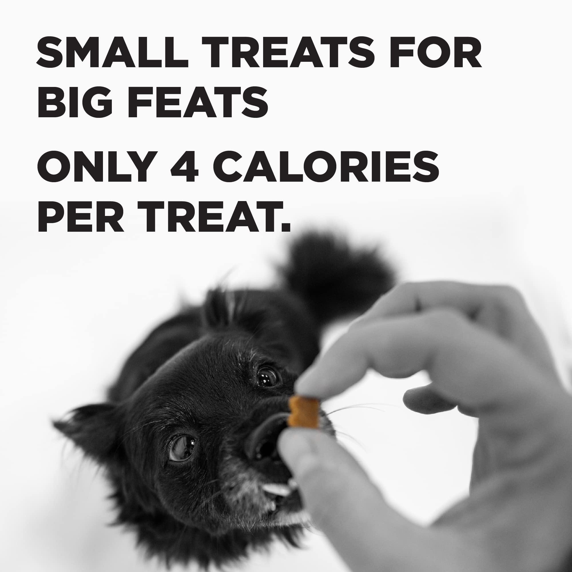 Friandises sans céréales BIXBI Liberty adaptées aux estomacs sensibles