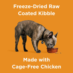 BIXBI Rawbble croquettes enrobage cru, texture savoureuse et digestibilité.