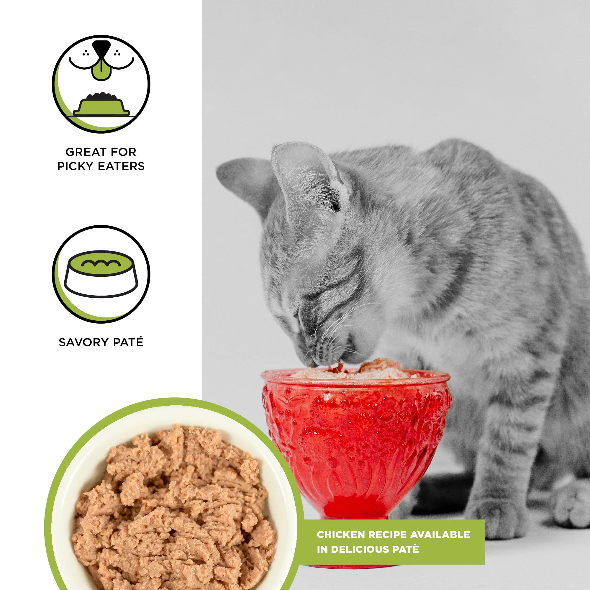 BIXBI Rawbble au Poulet, protéines de qualité pour soutenir le développement des chatons.