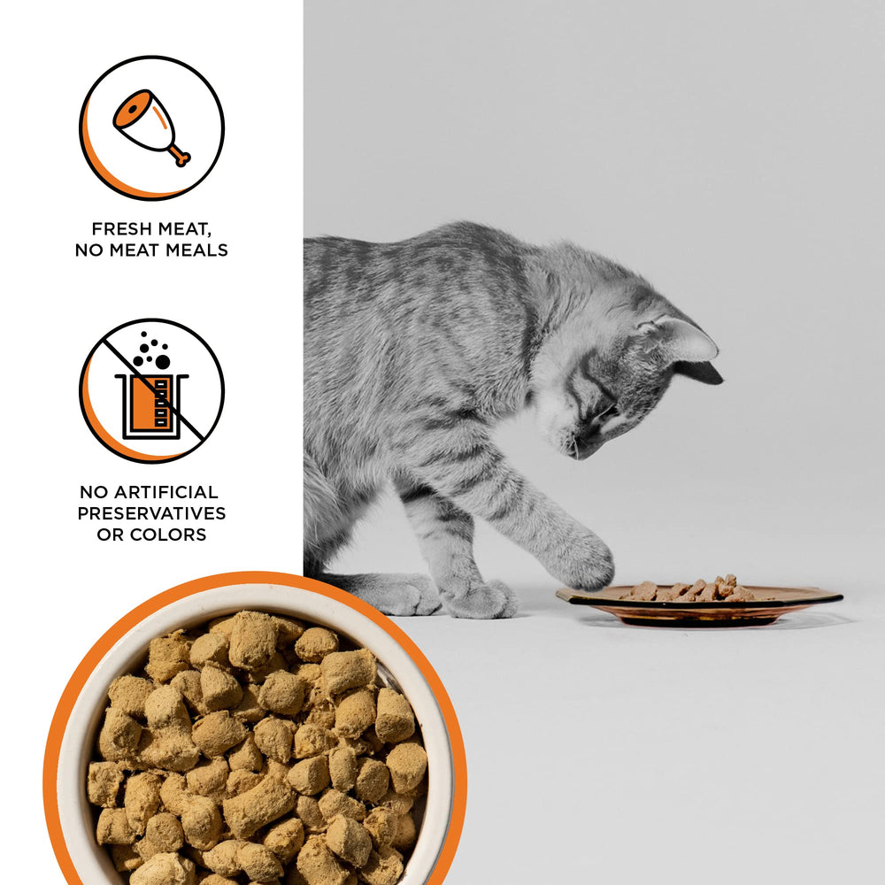 BIXBI Rawbble sans céréales et sans gluten, portion attrayante pour chat.
