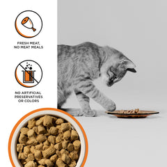 BIXBI Rawbble sans céréales et sans gluten, portion attrayante pour chat.