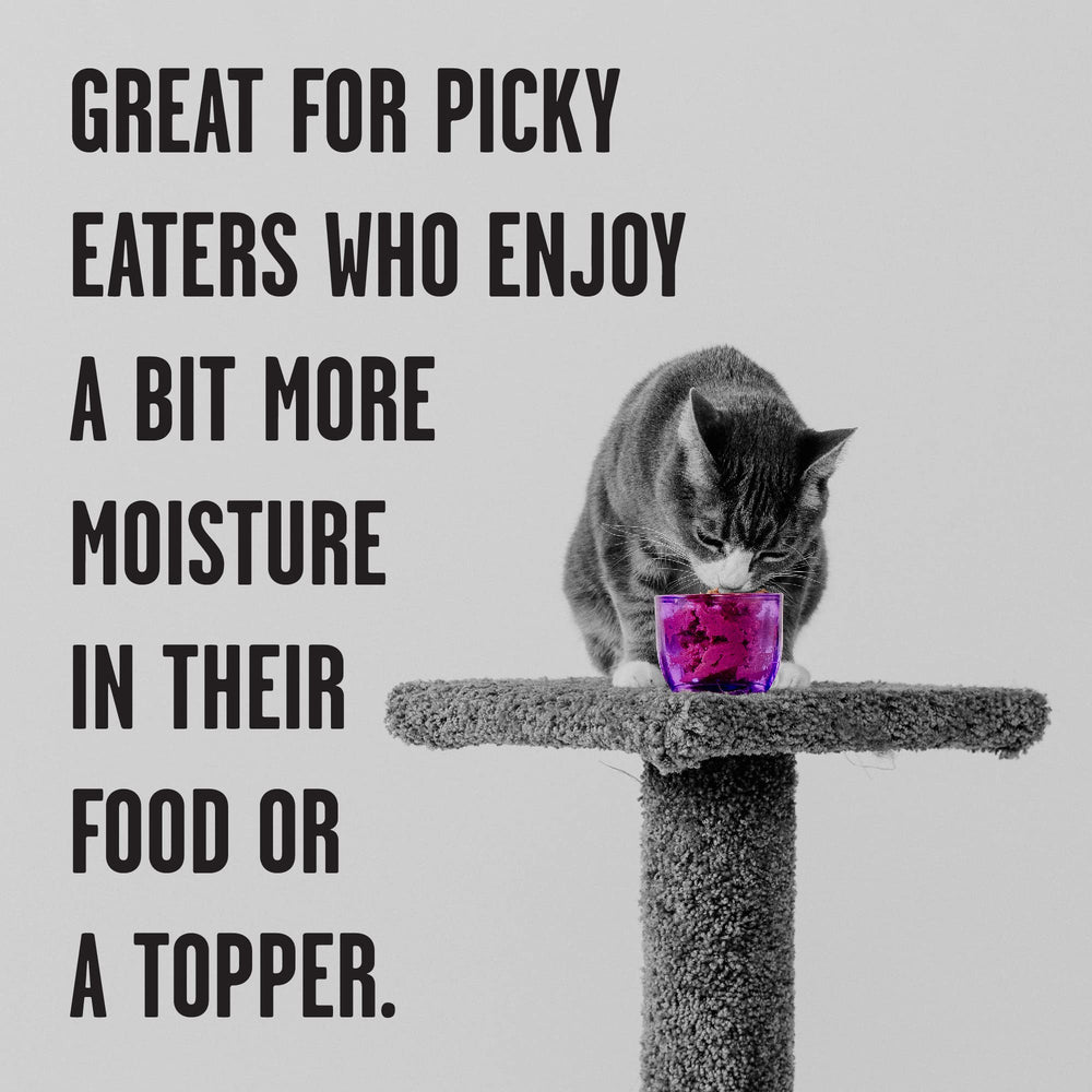 BIXBI Rawbble sans cereales, alimentation sans céréales pour chats sensibles.