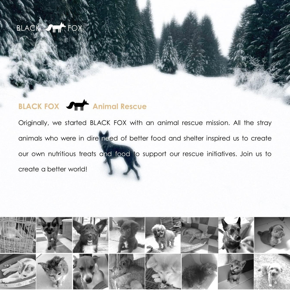 BLACK FOX cubes de 1/3 pouce, portionnement pratique pour récompenses.