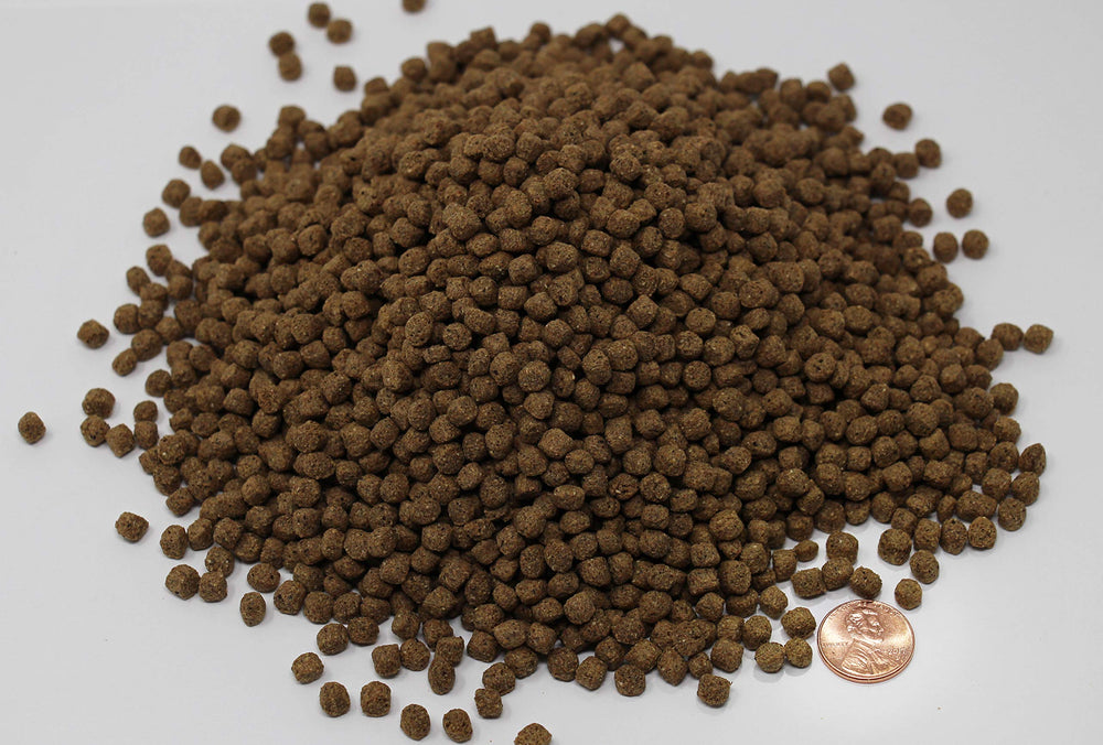 Aide possible à l’absorption des nutriments et à la digestion des kois et poissons rouges.