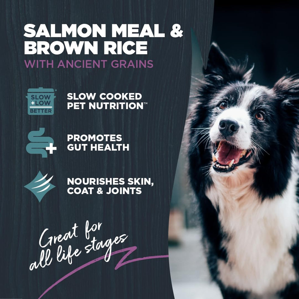Blackwood cuisson lente en petites portions, saveur riche que les chiens apprécient.